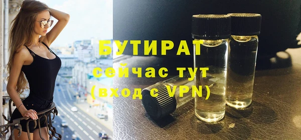 гидра Заречный
