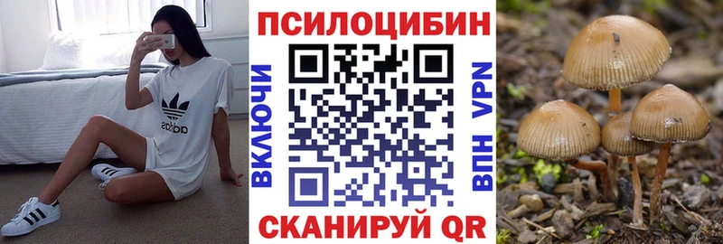 Псилоцибиновые грибы Psilocybe  купить  сайты  Карабаново 